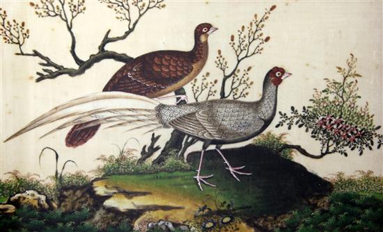 A pair of Chinese pith paintings of pheasants, 19th century, 18.5 x 30cm, later framed and glazed